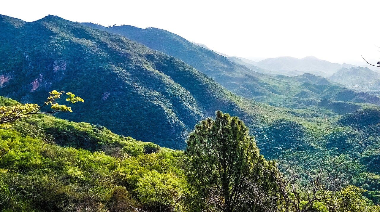 Margalla Hills Trails: Every Route Rated for All Skill Levels